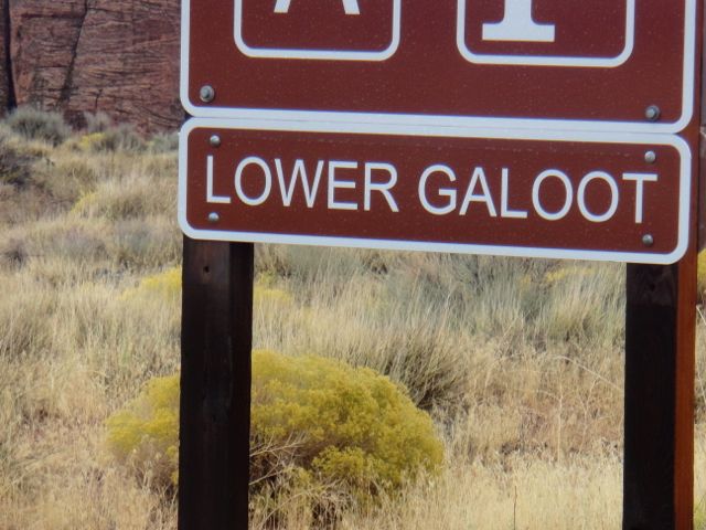 Galoot is not very flattering, but at least it's not a curse word.