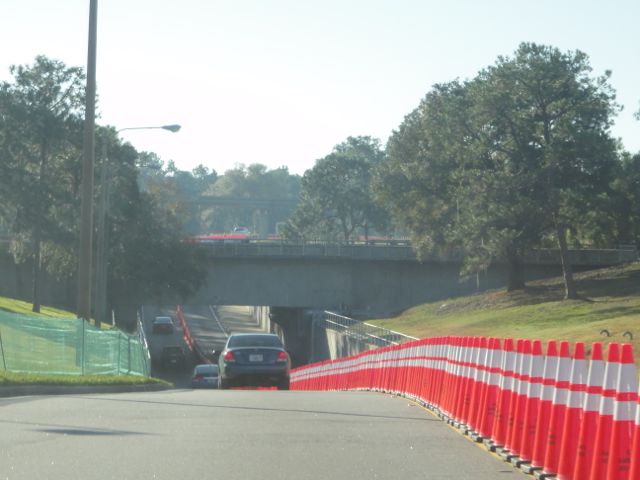 Driving through town to visit Epcot for a few hours.