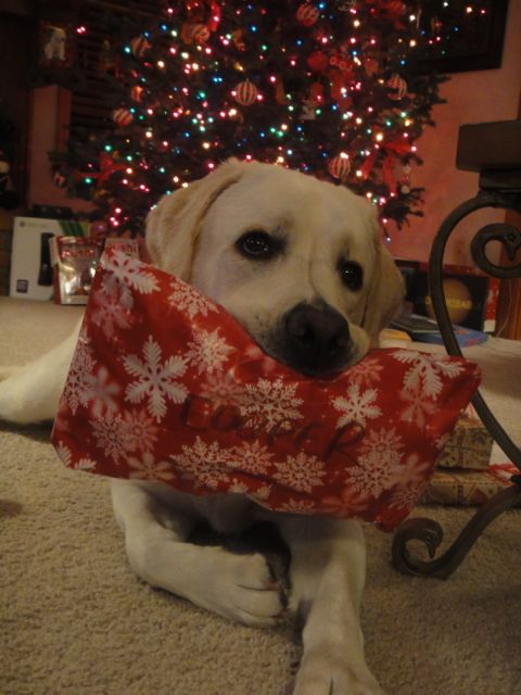 seems like only yesterday we were opening presents (Christmas 2011) seasons