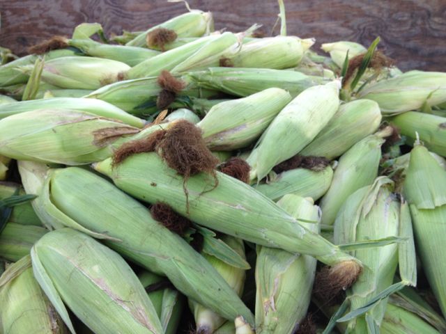 summer time meant sweet corn sweet corn
