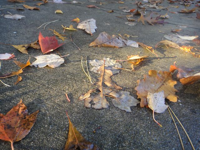 in roughly three months, Fall will be here (and summer, a memory) dying man