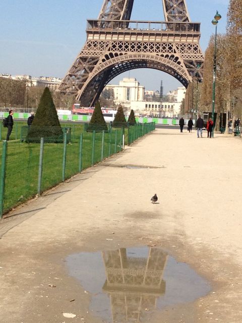 watch out for the muddy water eiffle tower