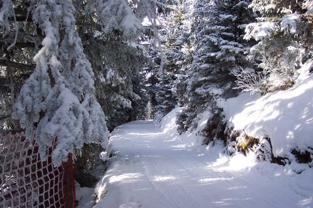 Ski trail in Murren, Switzerland (photo: Lorie Sheffer)