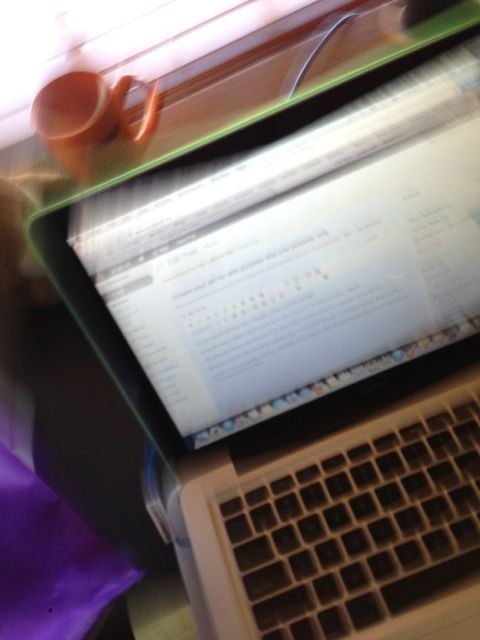 photo of MacBook and WordPress admin panel