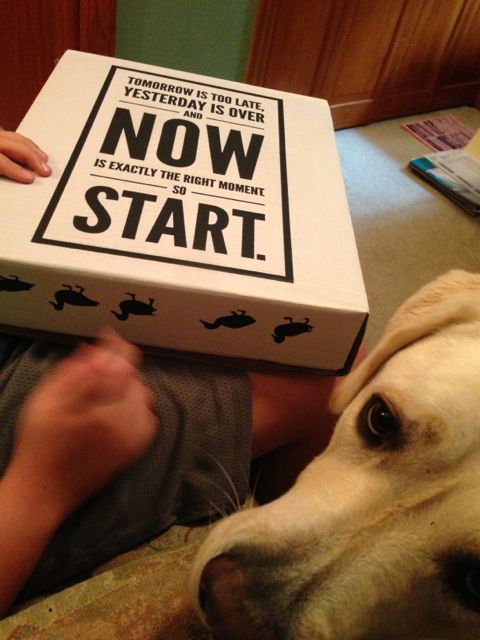 photo of Seth Godin's newest book, THis Might Work