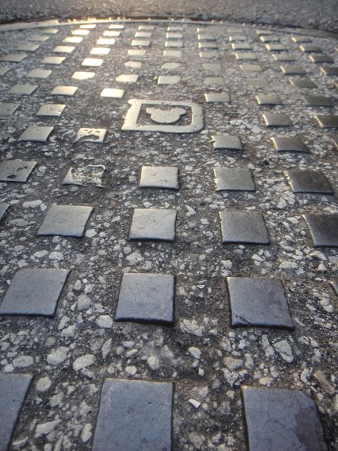 Disney drainage system cover