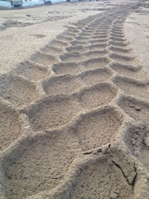 which path in life we use is up to us which path in life we use is up to us