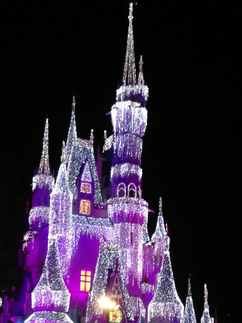 Cinderella Castle with Christmas lights