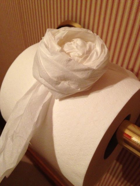 photo of home made toilet paper art