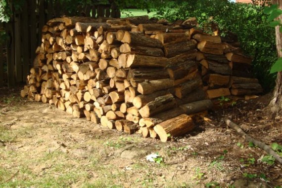 Stack of firewood