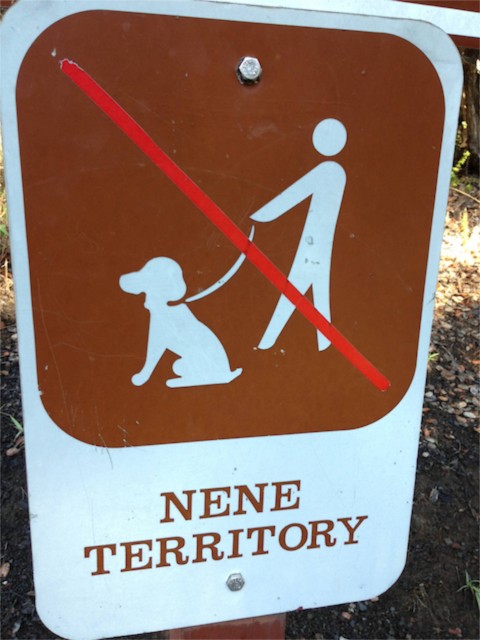 Hawaiian State Bird (the Nene) warning sign