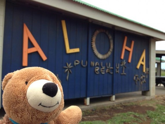 Aloha sigh
