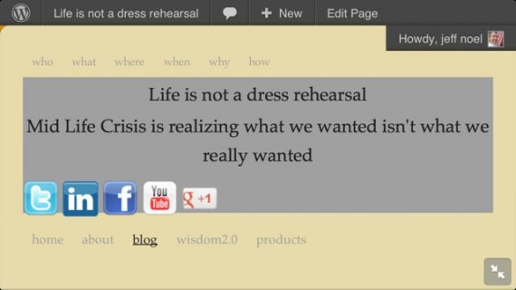 Mid Life Celebration website header color is grey on purpose