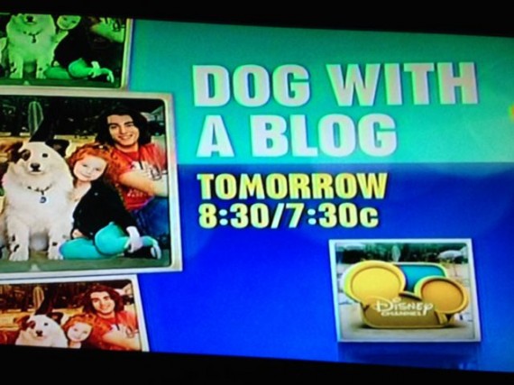 photo of Disney Channel's Dog with a Blog advertisement 