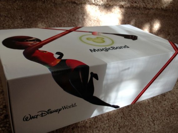 Magic Bands packaging