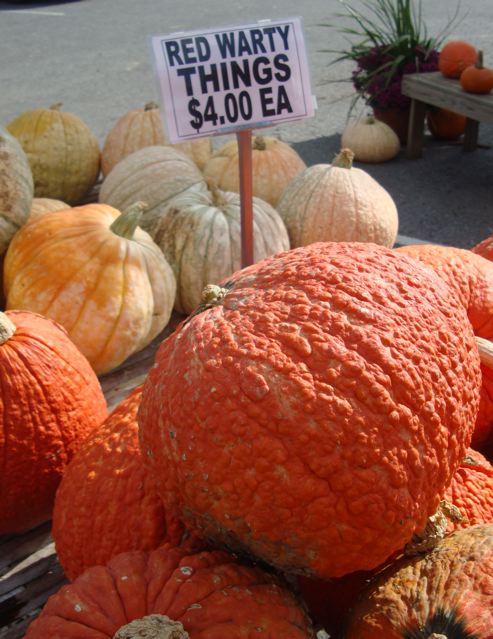 Pumpkins for sale