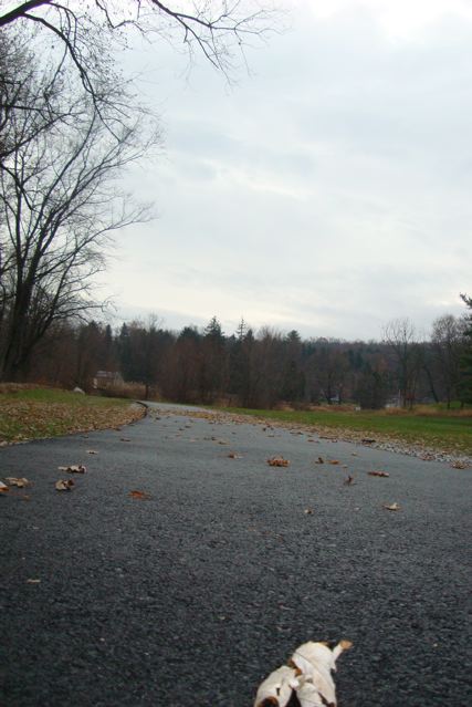 Paved park path for walking and jogging