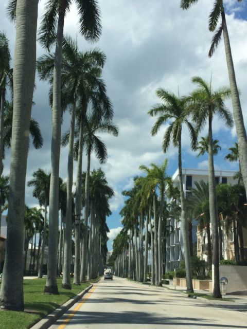 Royal Palm Way, Palm Beach, Florida