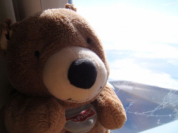 Jack the teddy Bear