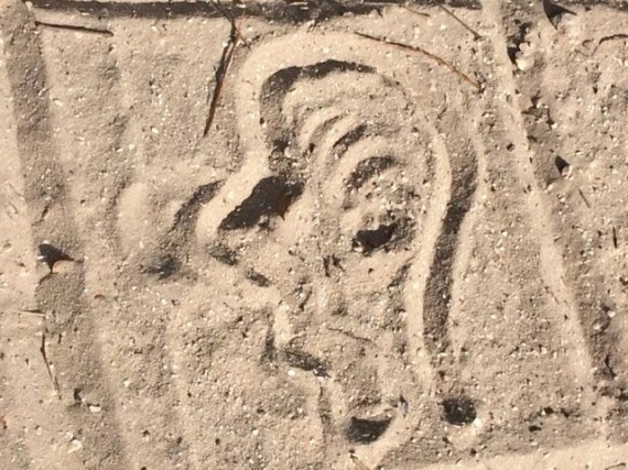 Mid Life Celebration logo drawn in sand