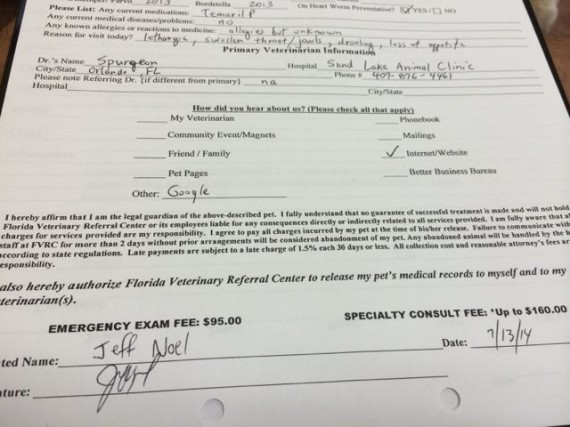Emergency Vet consent form