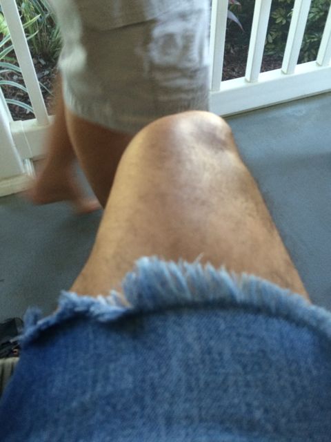 cutoff jean shorts