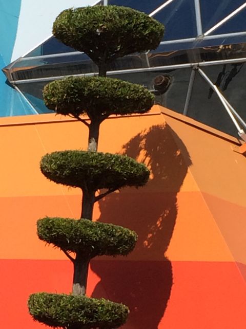 Uniquely trimmed tree
