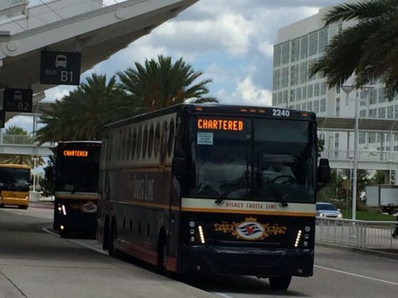 Orlando Tour busses