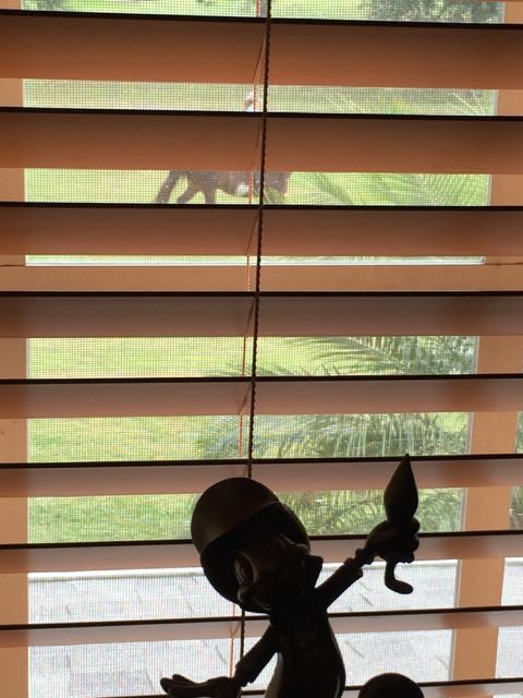 Horseback rider in Orlando neighborhood