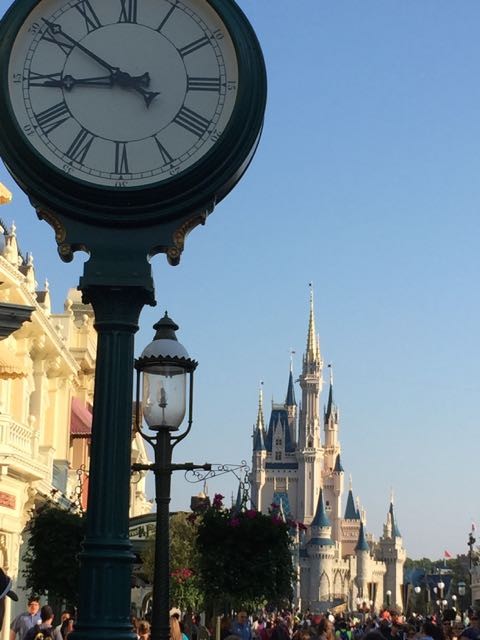 Disney Management Consulting