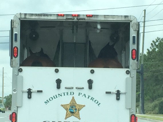 Orange County Florida Mounted Patrol