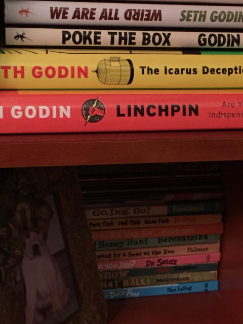 Seth Godin books