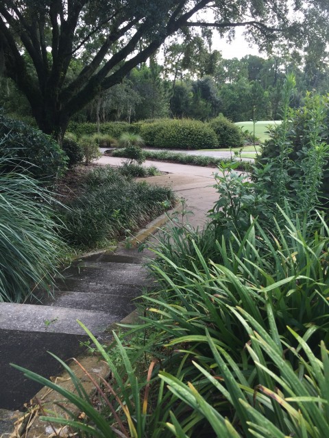 Pathway at golf course