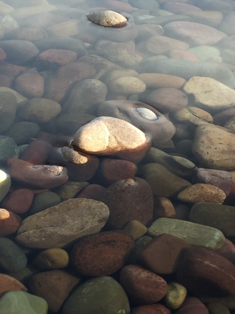 Glacier's Lake McDonald shoreline closeup