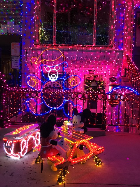 Osborne Dancing Lights Spectacle