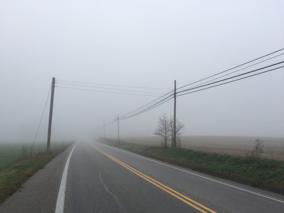Foggy Country road
