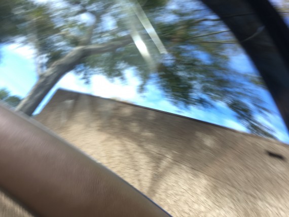 Blurry photo