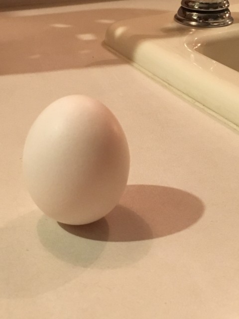 Chicken Egg balance on it's end
