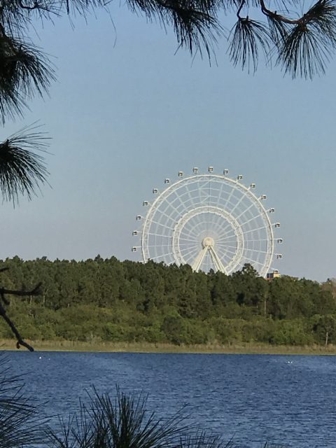 Orlando Eye